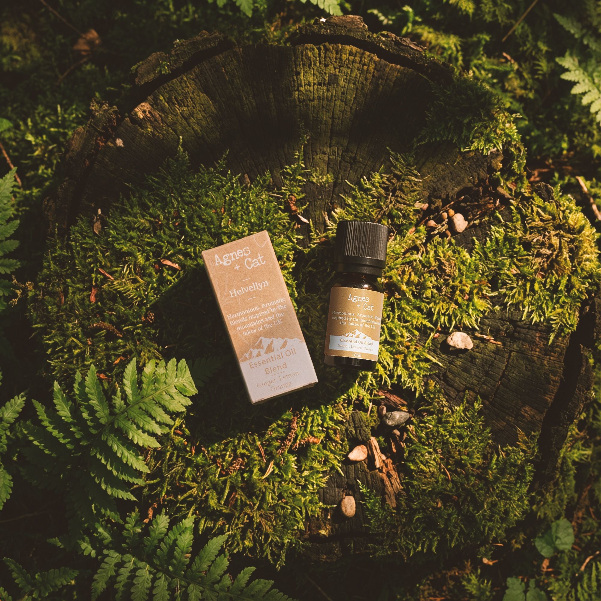 Essential Oil Blend - Scafell Pike - Cypress, Tangerine & Ho Wood